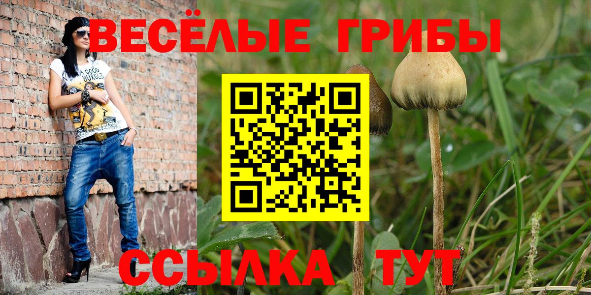 Галлюциногенные грибы MAGIC MUSHROOMS Новокубанск