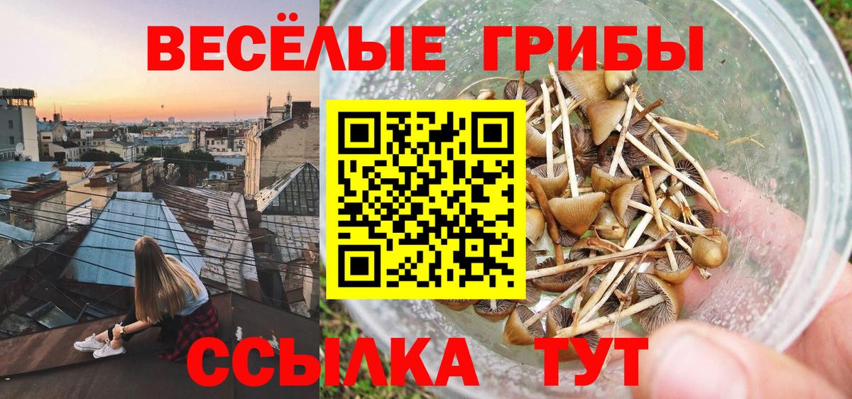 Мефедрон кристаллы  Мефедрон  Каннабис  Альфа ПВП СК кристаллы  MDMA  КОКАИН  ГАШИШ  Вход с VPN  Новокубанск  Гашиш 